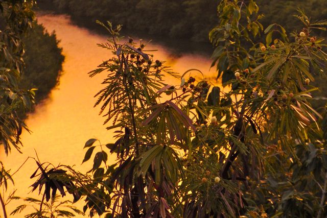 Sunrise on the Wailua River